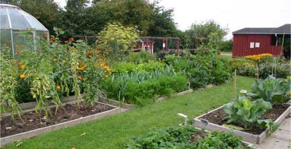 preparar zumos de fruta y verduras